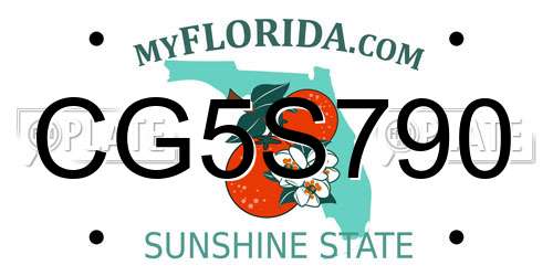 CG5S790 Florida License Plate