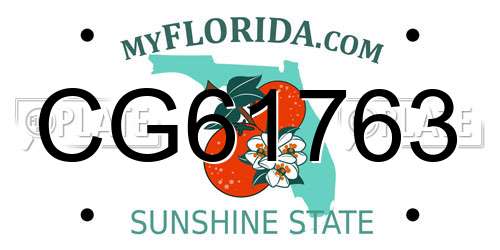 CG61763 Florida License Plate