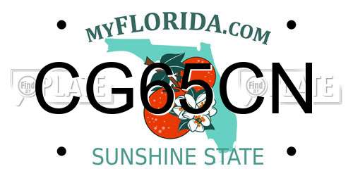 CG65CN Florida License Plate