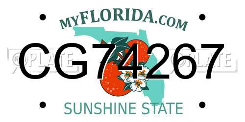 CG74267 Florida License Plate