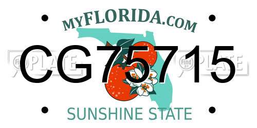 CG75715 Florida License Plate