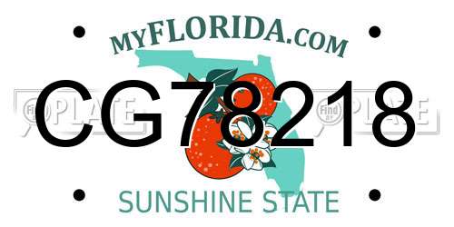 CG78218 Florida License Plate
