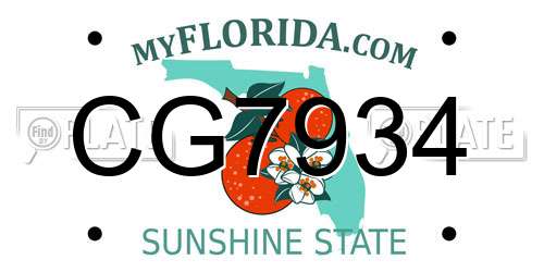 CG7934 Florida License Plate