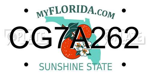 CG7A262 Florida License Plate