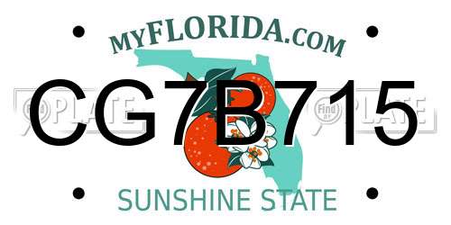 CG7B715 Florida License Plate