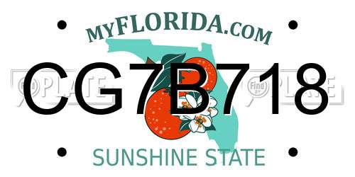 CG7B718 Florida License Plate
