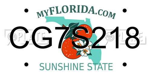 CG7S218 Florida License Plate