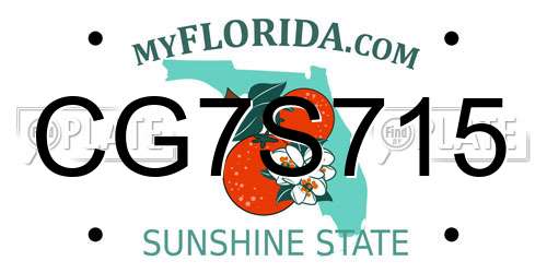 CG7S715 Florida License Plate