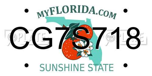 CG7S718 Florida License Plate