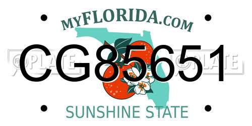 CG85651 Florida License Plate