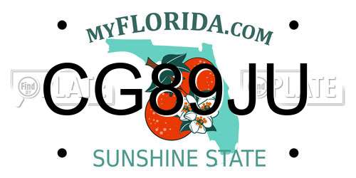 CG89JU Florida License Plate