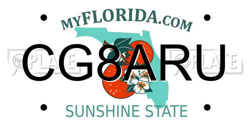 CG8ARU Florida License Plate