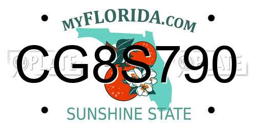 CG8S790 Florida License Plate