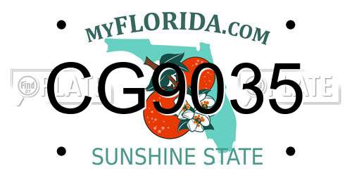 CG9035 Florida License Plate