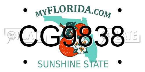 CG9838 Florida License Plate