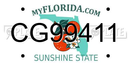 CG99411 Florida License Plate