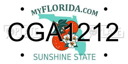 CGA1212 Florida License Plate