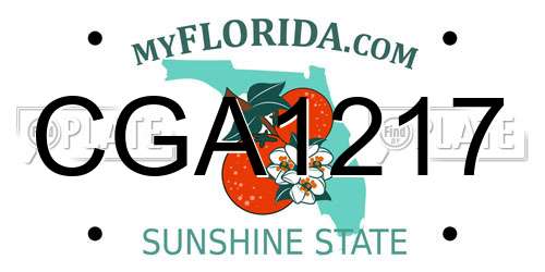 CGA1217 Florida License Plate