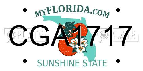 CGA1717 Florida License Plate