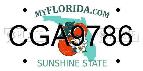 CGA9786 Florida License Plate
