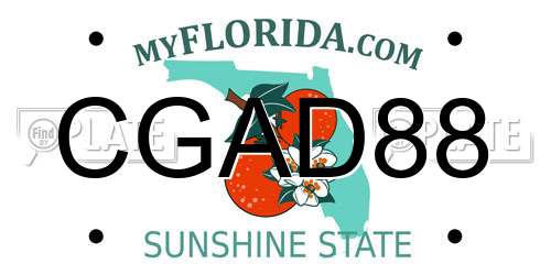 CGAD88 Florida License Plate