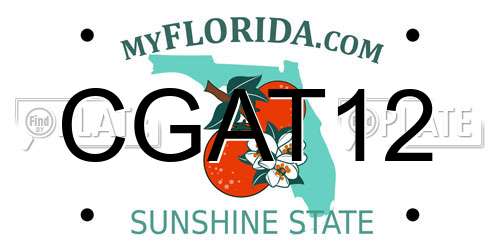CGAT12 Florida License Plate