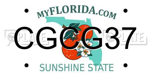 CGCG37 Florida License Plate