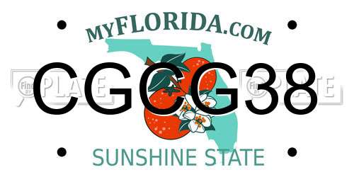 CGCG38 Florida License Plate