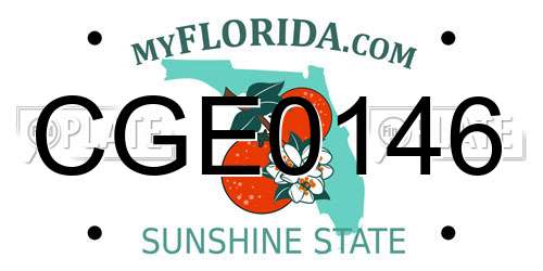 CGE0146 Florida License Plate