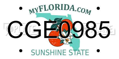 CGE0985 Florida License Plate