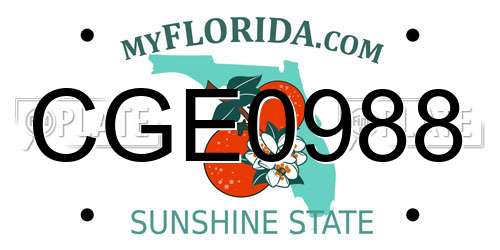 CGE0988 Florida License Plate