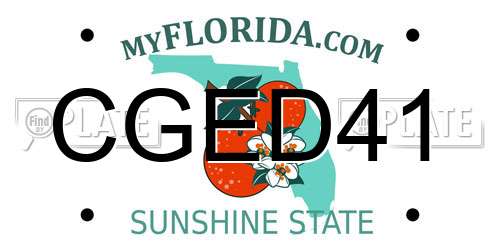 CGED41 Florida License Plate