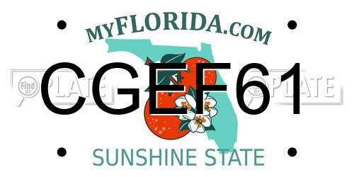 CGEF61 Florida License Plate