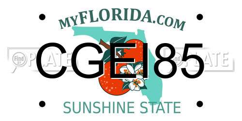 CGEI85 Florida License Plate