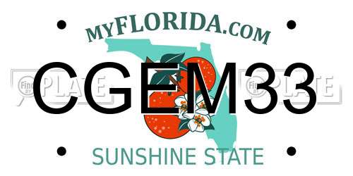 CGEM33 Florida License Plate