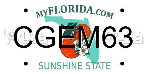 CGEM63 Florida License Plate