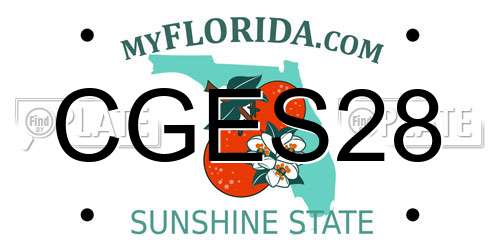 CGES28 Florida License Plate