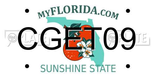 CGET09 Florida License Plate