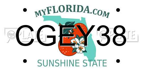 CGEY38 Florida License Plate