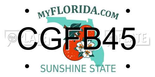 CGFB45 Florida License Plate