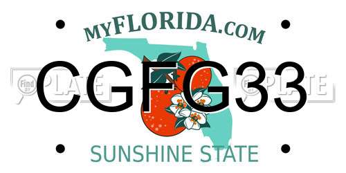 CGFG33 Florida License Plate