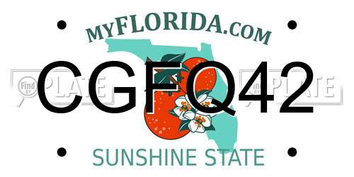 CGFQ42 Florida License Plate