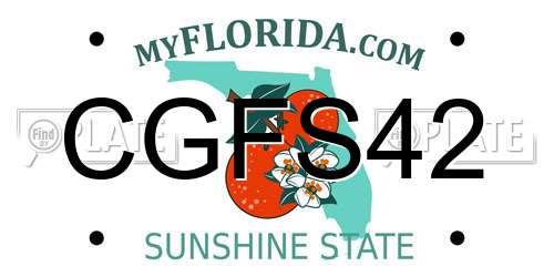 CGFS42 Florida License Plate