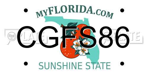 CGFS86 Florida License Plate