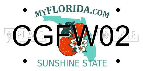 CGFW02 Florida License Plate
