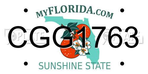 CGG1763 Florida License Plate