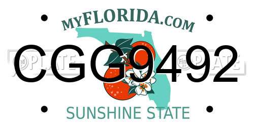 CGG9492 Florida License Plate