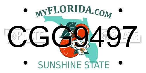 CGG9497 Florida License Plate