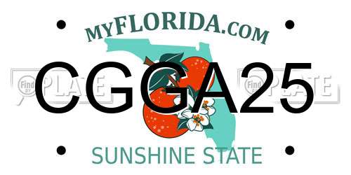 CGGA25 Florida License Plate