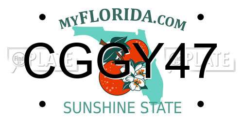 CGGY47 Florida License Plate